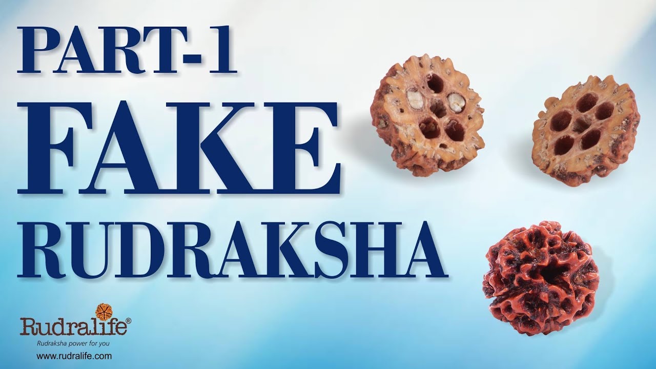 Identify Fake Rudraksha - Part 1 - Rudralife