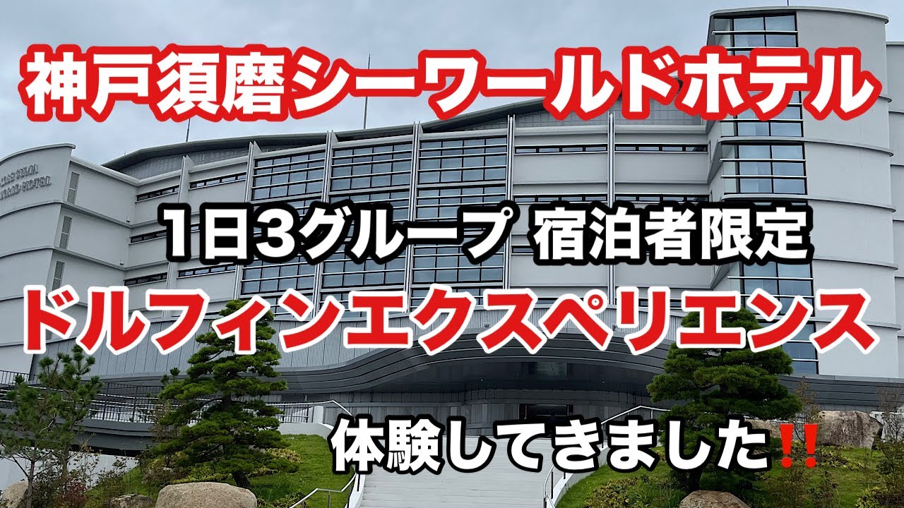 神戸須磨シーワールドホテル宿泊記❗️『ドルフィンエクスペリエンス』めちゃくちゃ楽しい‼️