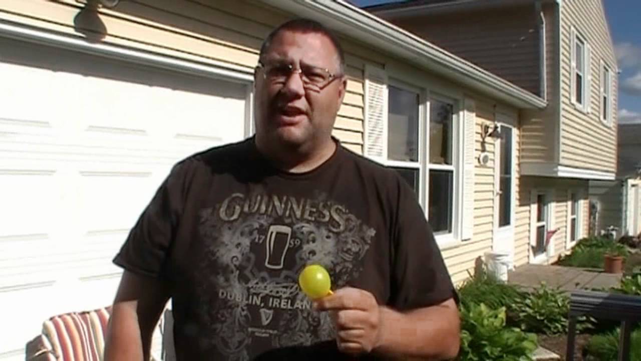 The perfect balloon bobber