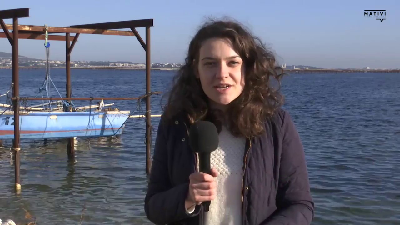 Huitres mèze bouzygue - de la mer à l'assiette