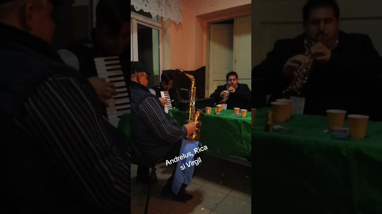 Ceva la rece Andrelus ,Rica, Virgil Mircea