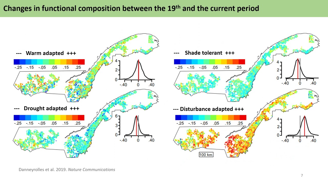 Historical ecology of Quebec&rsquo;s northern temperate forests