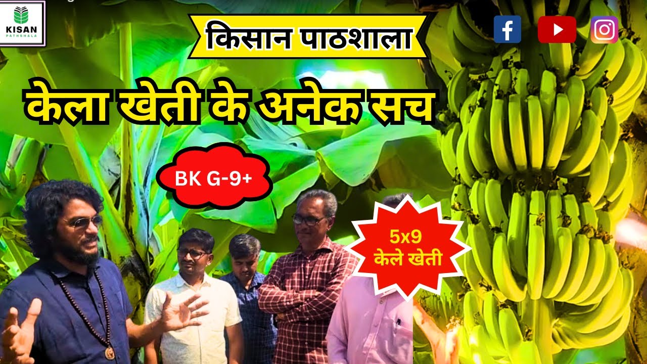 4968- Bkisan BananaFarming 5x9 G-9+ teburni केलाखेती के अनेक सच 9404691236 किसानपाठशाला FARMERSCHOOL