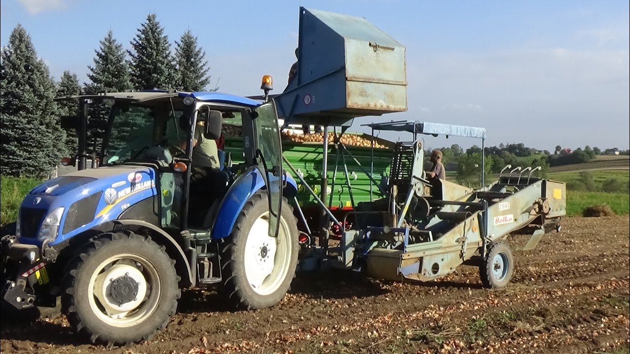 Zbiór Cebuli 2016 || Zetor & New Holland & Z643 Bolko || Full HD || AGRO-TEAM TV