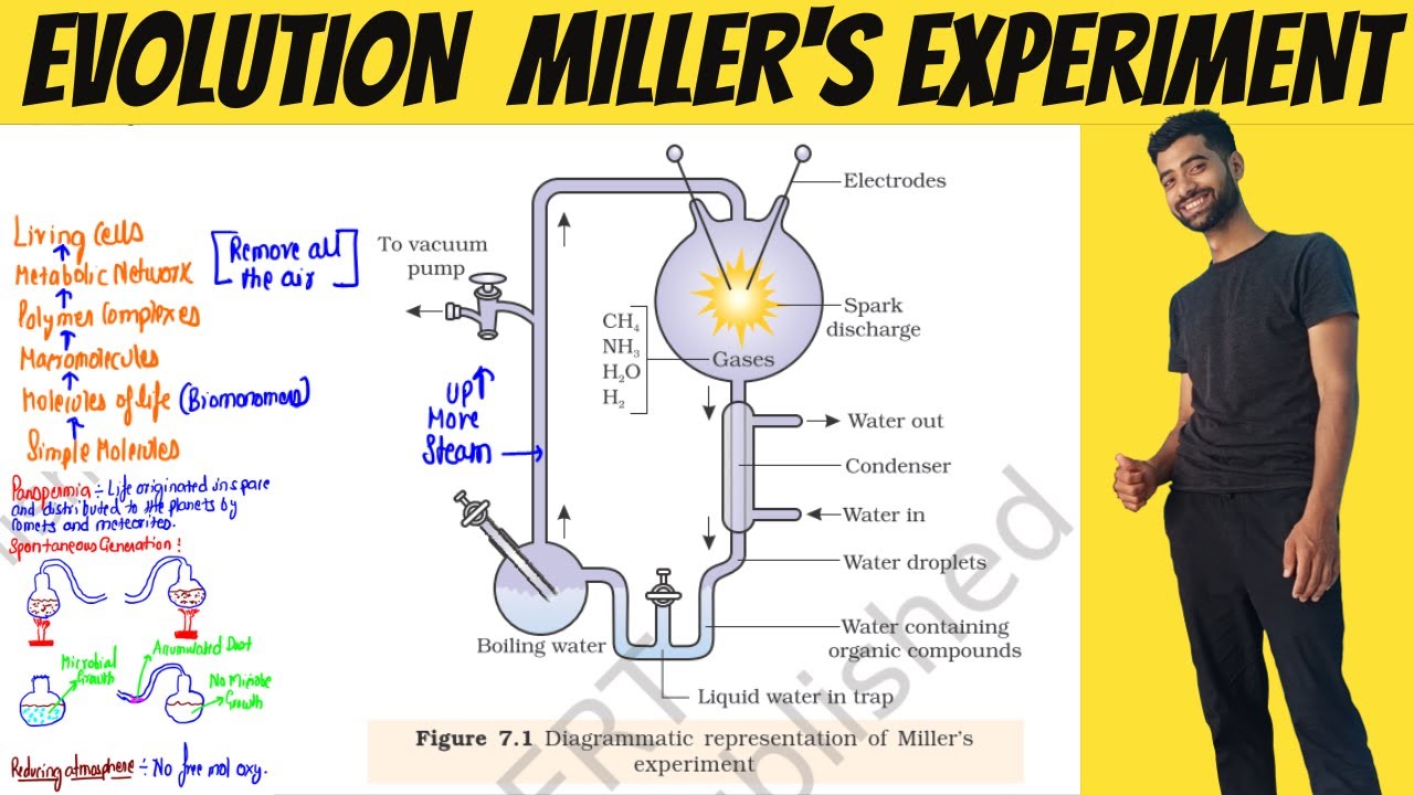 Miller Experiment Part 2 | Evolution class 12th NCERT Line by Line | NEET Biology