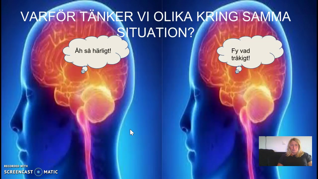 Kognitiv förklaringsmodell