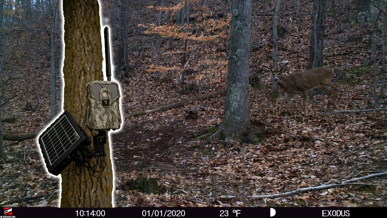 Why Cell Cameras Spook BIG BUCKS!!!