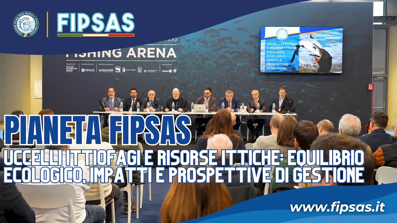 PIANETA FIPSAS - UCCELLI ITTIOFAGI E RISORSE ITTICHE