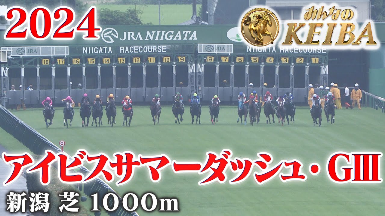 【アイビスSD・GⅢ】アイビスサマーダッシュ 新潟 芝 1000m 2024 レース  【みんなのKEIBA】