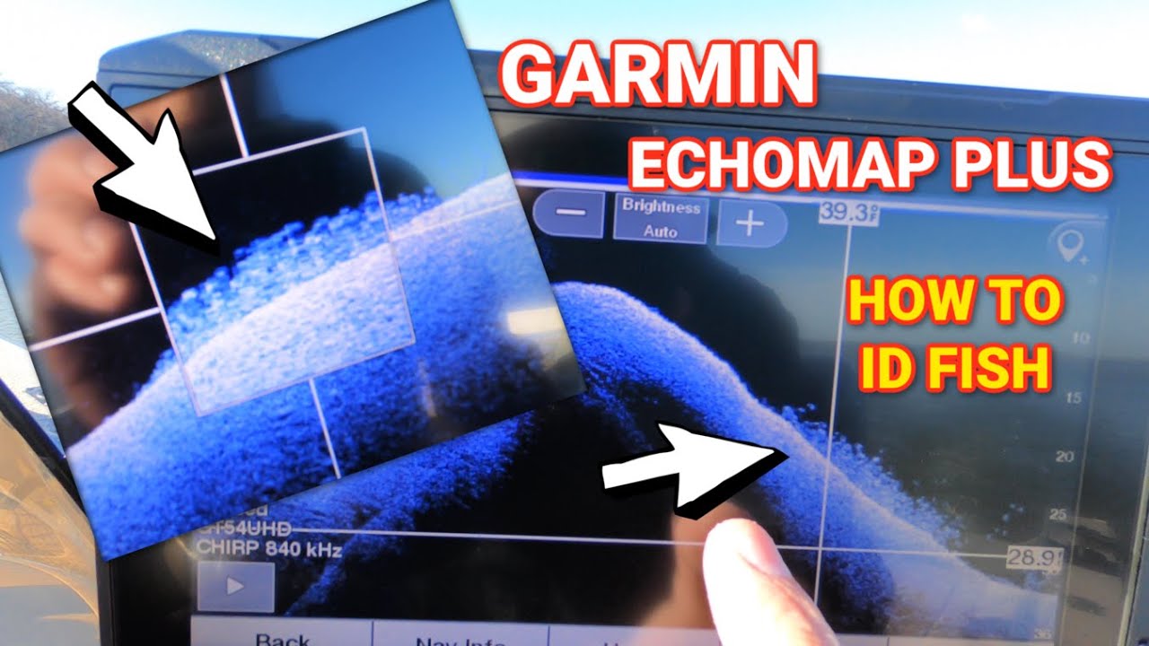 Советы и рекомендации по идентификации рыбы с помощью устройства Garmin Echomap Plus!! (+ LIVESCO...