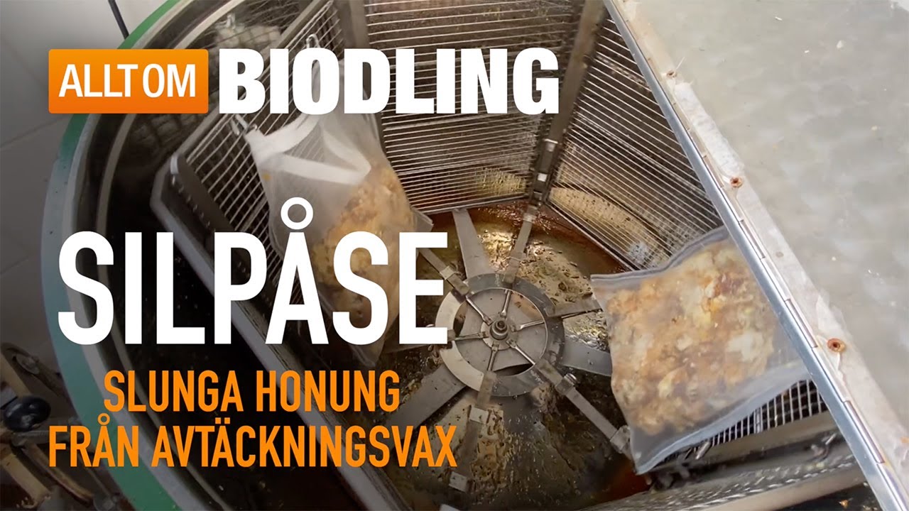 Silpåse - slunga honung från avtäckningsvax | Biodling