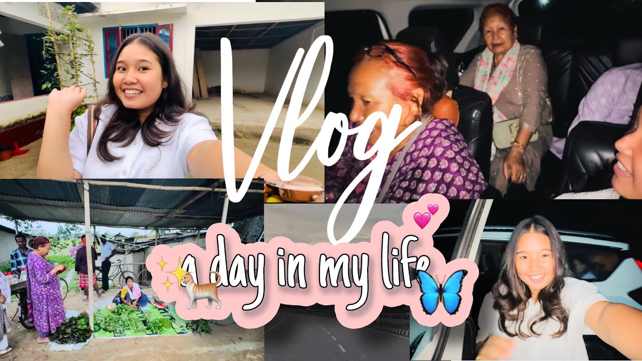 1st Vlog of Roo’s Vlog, stunning view of Karbianglong Assam, #dayinmylife