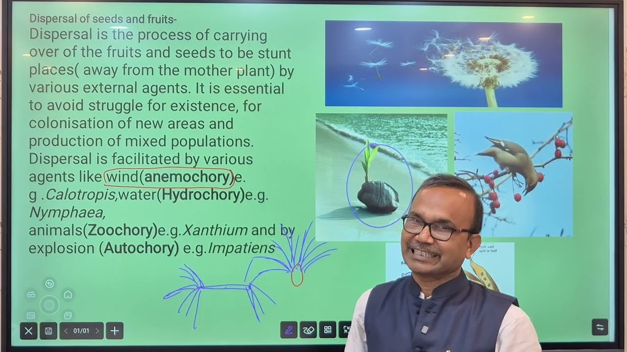 Biology Semester - 1 Morphology of Flowering Plants Part - 3 by WBCHSE And S&D