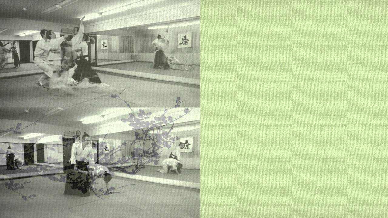 The difference between ki-aikido and other styles