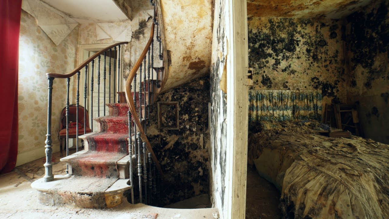La Maison Champignons - Abandoned House Consumed by Mold
