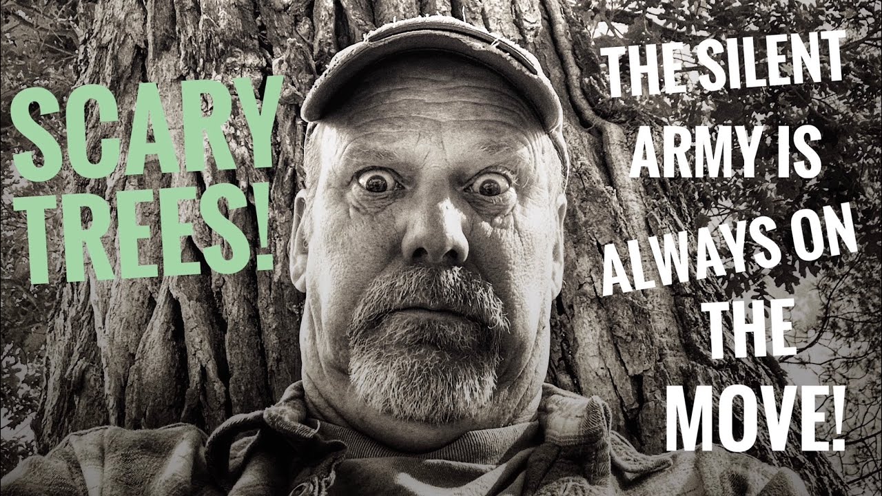 Scary Trees! - The Silent Army (is always on the move)
