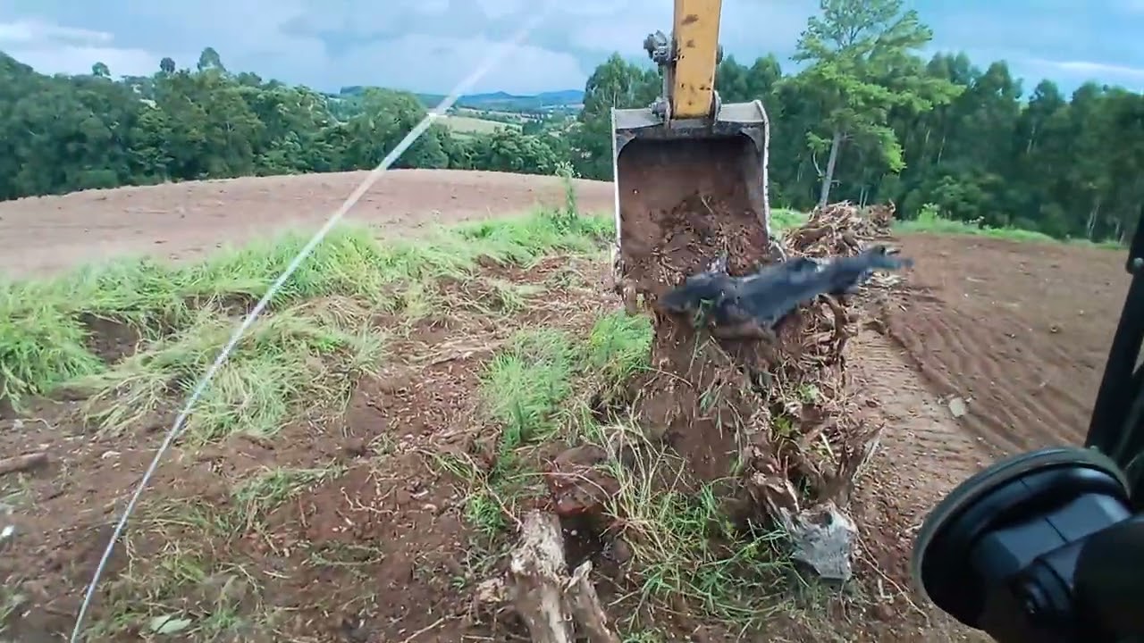 Sany com lâmina fazendo estrada batendo toco deixando empilhado