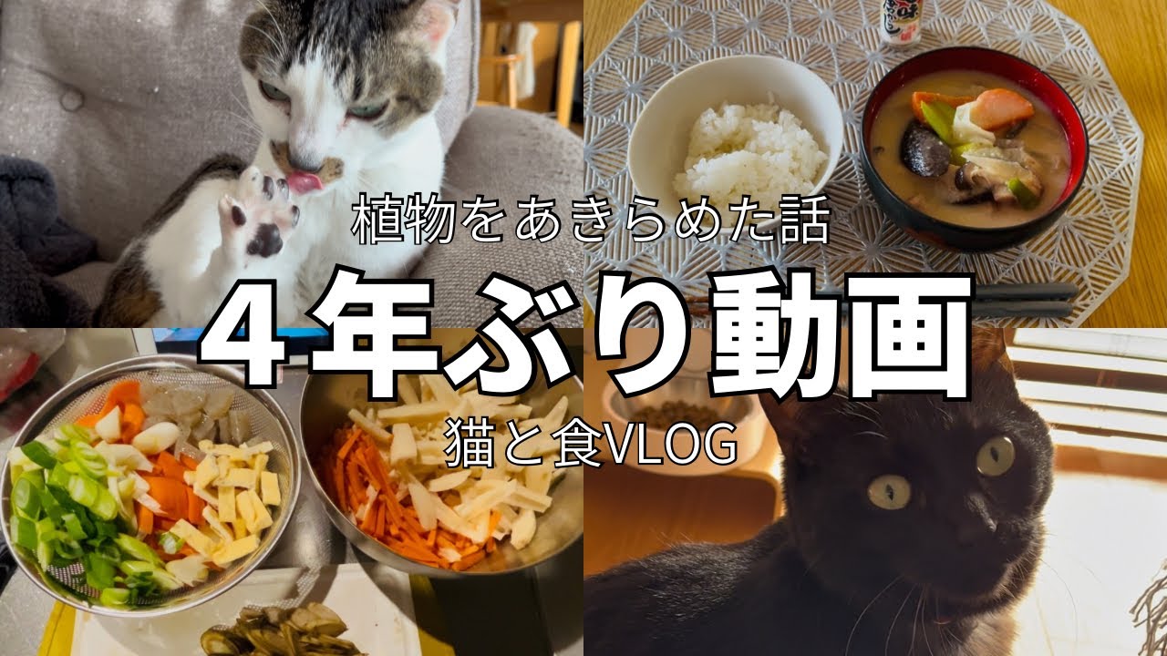 【猫Vlog】引っ越して観葉植物をやめた話 / 夫がいない日の粕汁