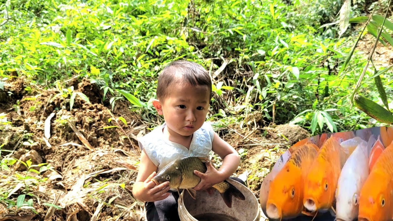 single mother, 17 years old and Tieu An went to find some fish to raise,Ly Tieu Anh