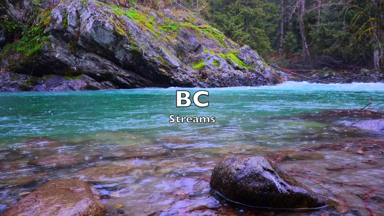 British Columbia Relaxing Blue River Rainforest Meditation #4