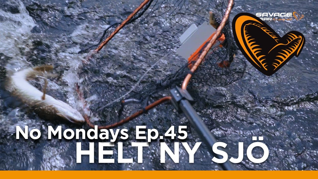 No Mondays - Ep 45 - Hitta en ny G&Auml;DDSJ&Ouml;!