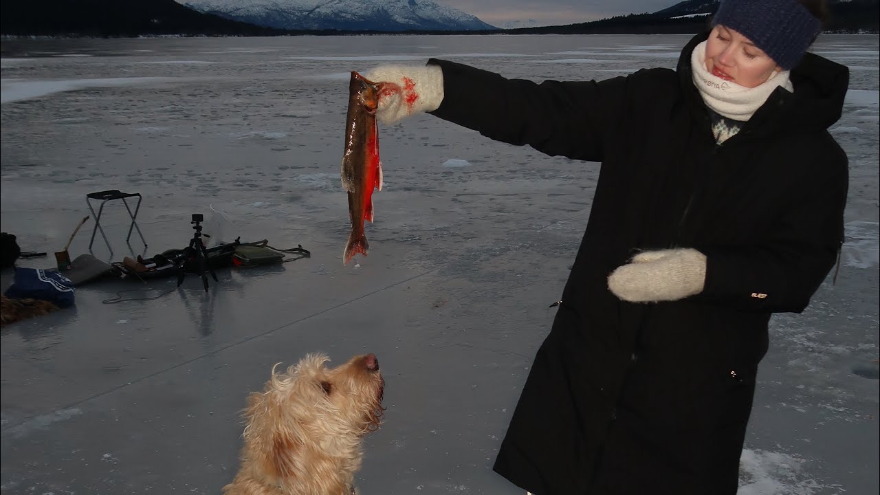 Trout-fishing in Norway: Ice-fishing and by the sea with my buddy