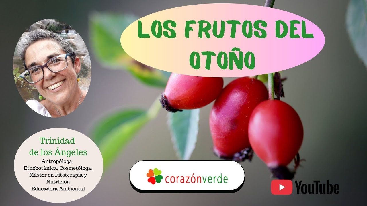Los frutos del otoño