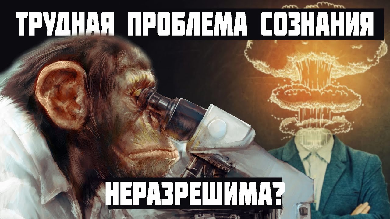 Трудная проблема сознания. Душный гостевой стрим.