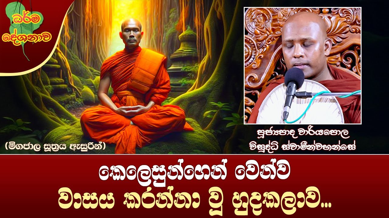 Ven Wariyapola Visuddhi Thero | 2024-09-04 | 2:30 PM (කෙලෙසුන්ගෙන් වෙන්ව වාසය කරන්නා වූ හුදකලාව...)