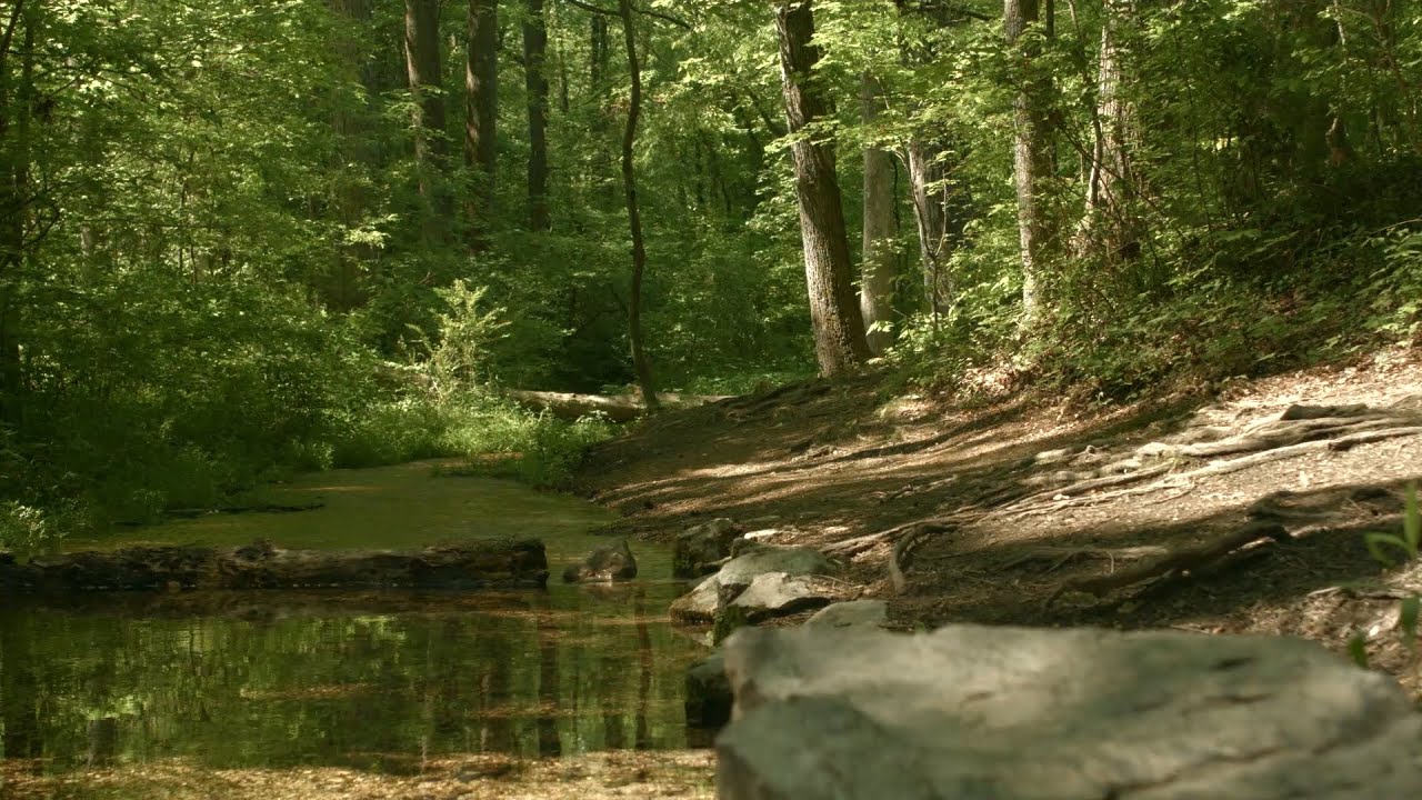 Red Clay State Park in HD
