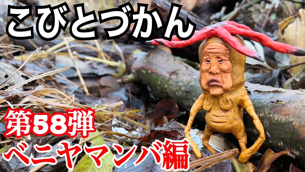 【こびとづかん】ベニヤマンバ見つけるまで帰れま10！！！
