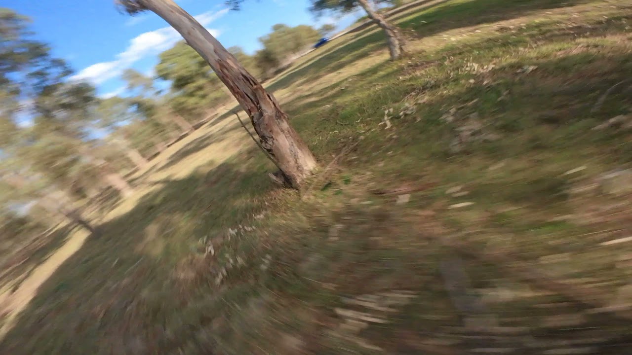 HGLRC Petrel 120X Pro with insta360 go2