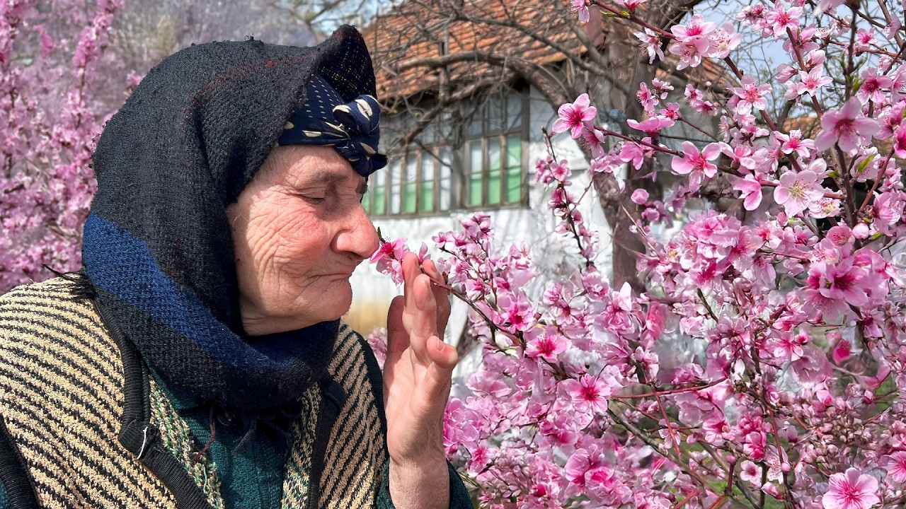 Building a Chicken Coop: Village Life in the Caucasus 🐔