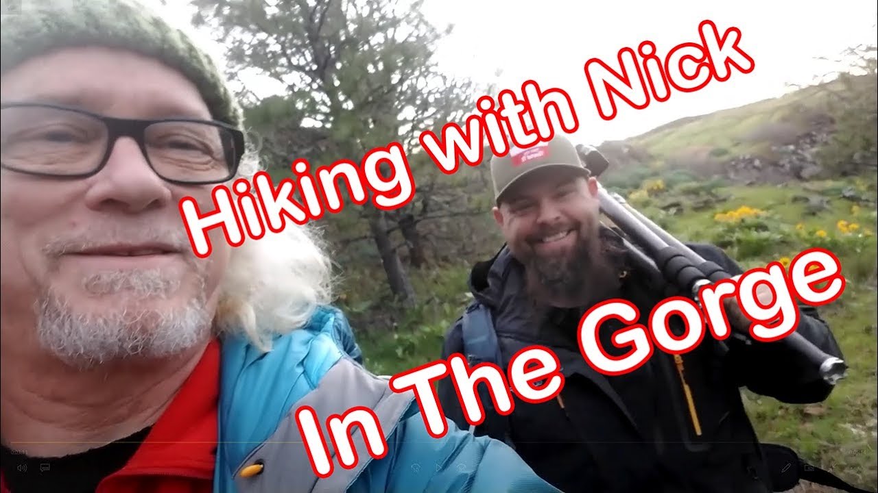 Columbia River Gorge Wildflowers - Hiking with Nick Page
