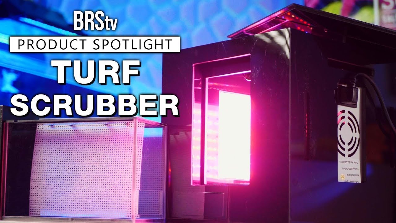 Reef Tank Nutrient Control Couldn’t Be EASIER! Foursquare Aquatics APIS Algae Turf Scrubbers