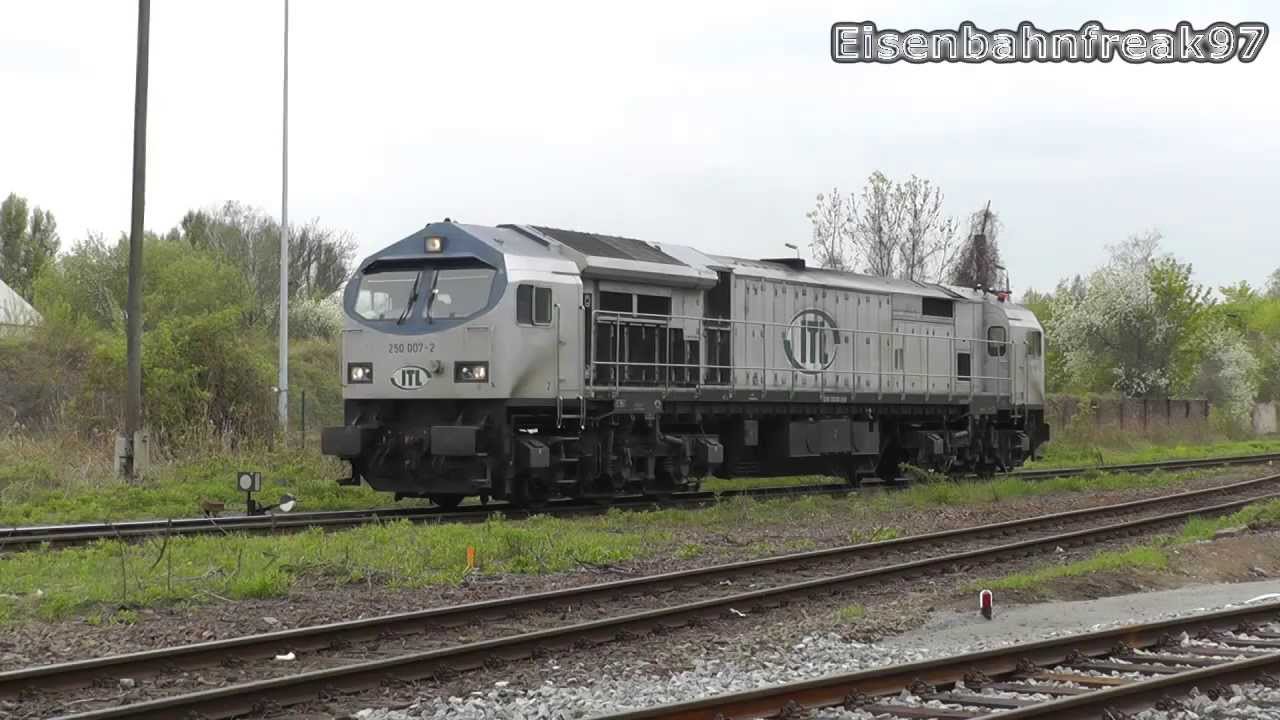 Diesellokpower im Hafen // Blue Tiger 250 007 der ITL im Hafen Dresden