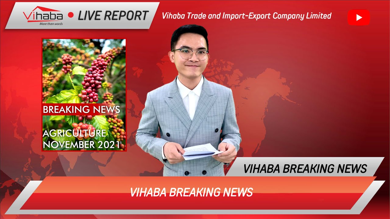 Live Report Of Global Tea Market in November 2021 l Vihaba Co.,Ltd