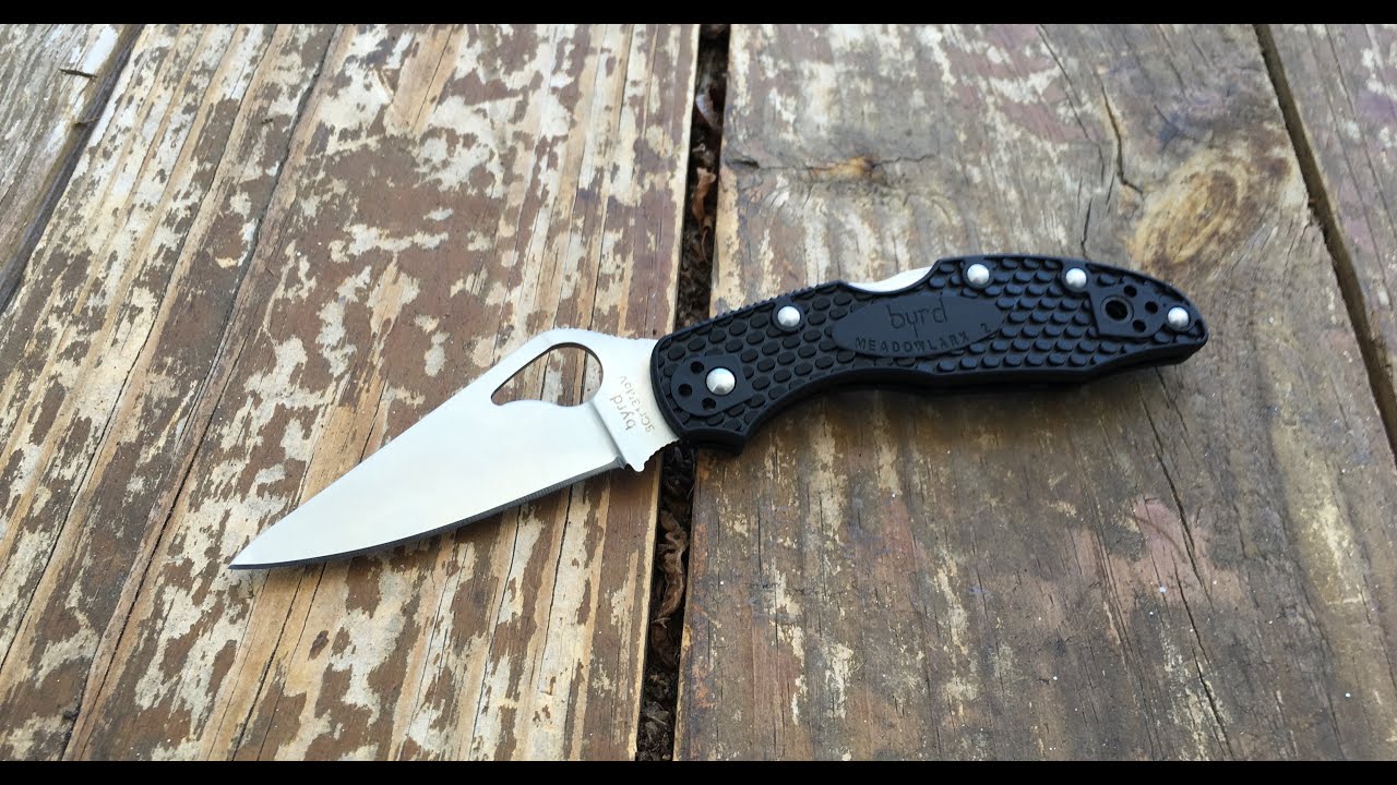 Spyderco Byrd Meadowlark: The Full Nick Shabazz Review