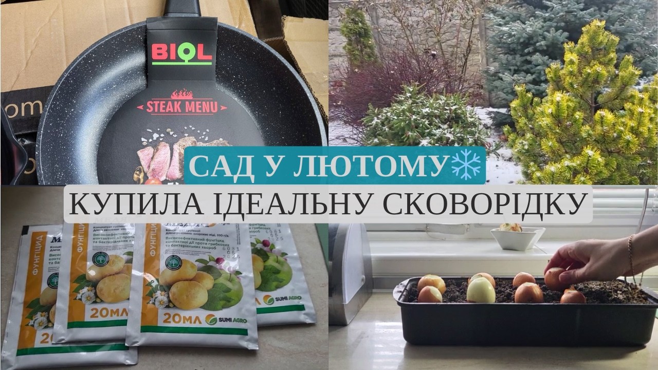 Давно шукала таку сковорідку! 🍳 Мої перші роботи в саду та вітаміни на підвіконні