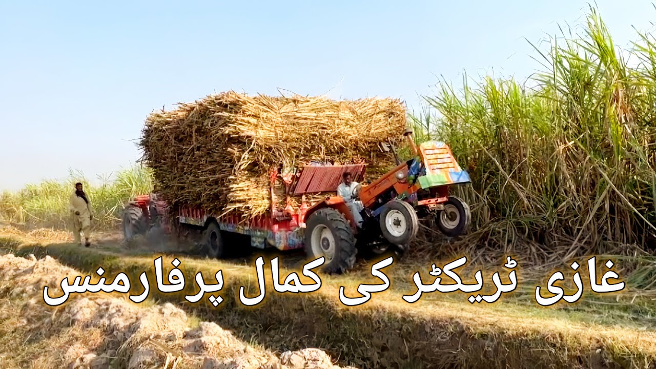 ghazi tractor ki kmal performance | ghazi tractor 56 hp 