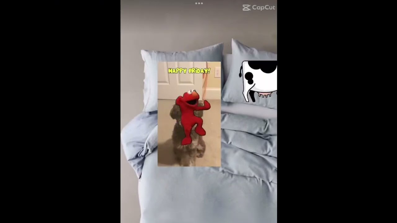 80hd