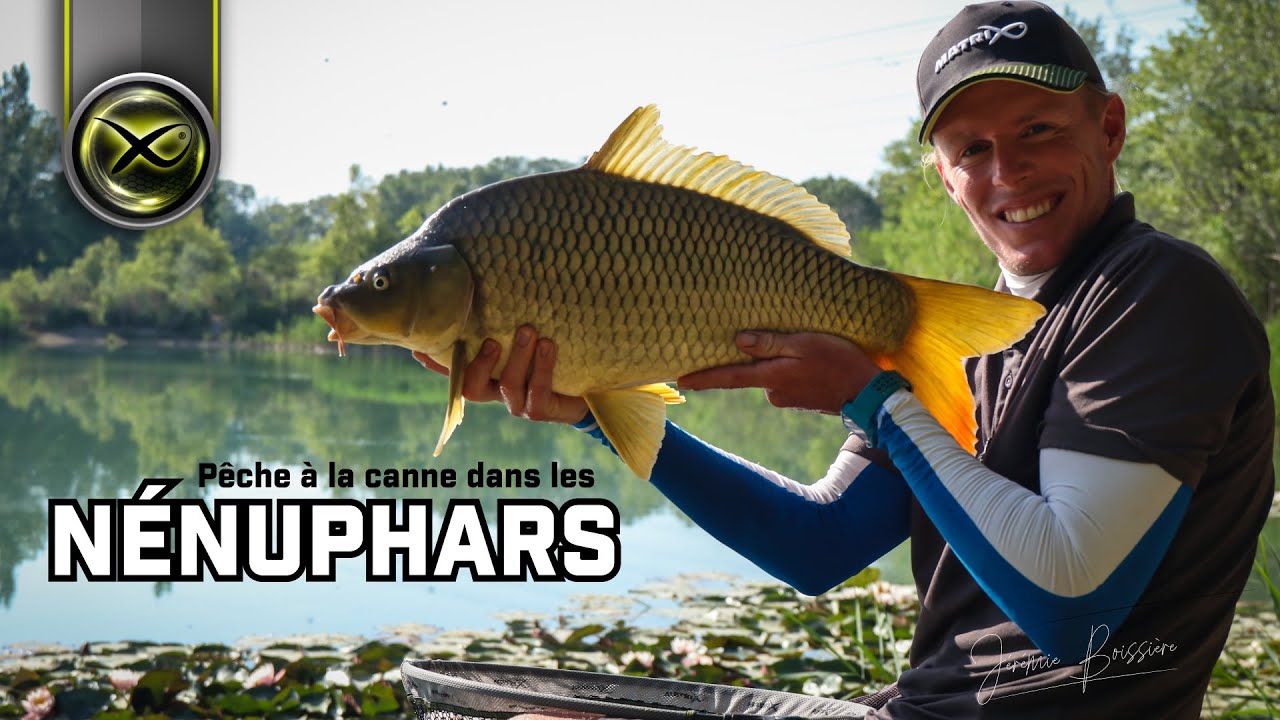 La pêche dans les nénuphars avec Jérémie Boissière - Canne Torque Euro Carp - Matrix Fishing TV 🇫🇷