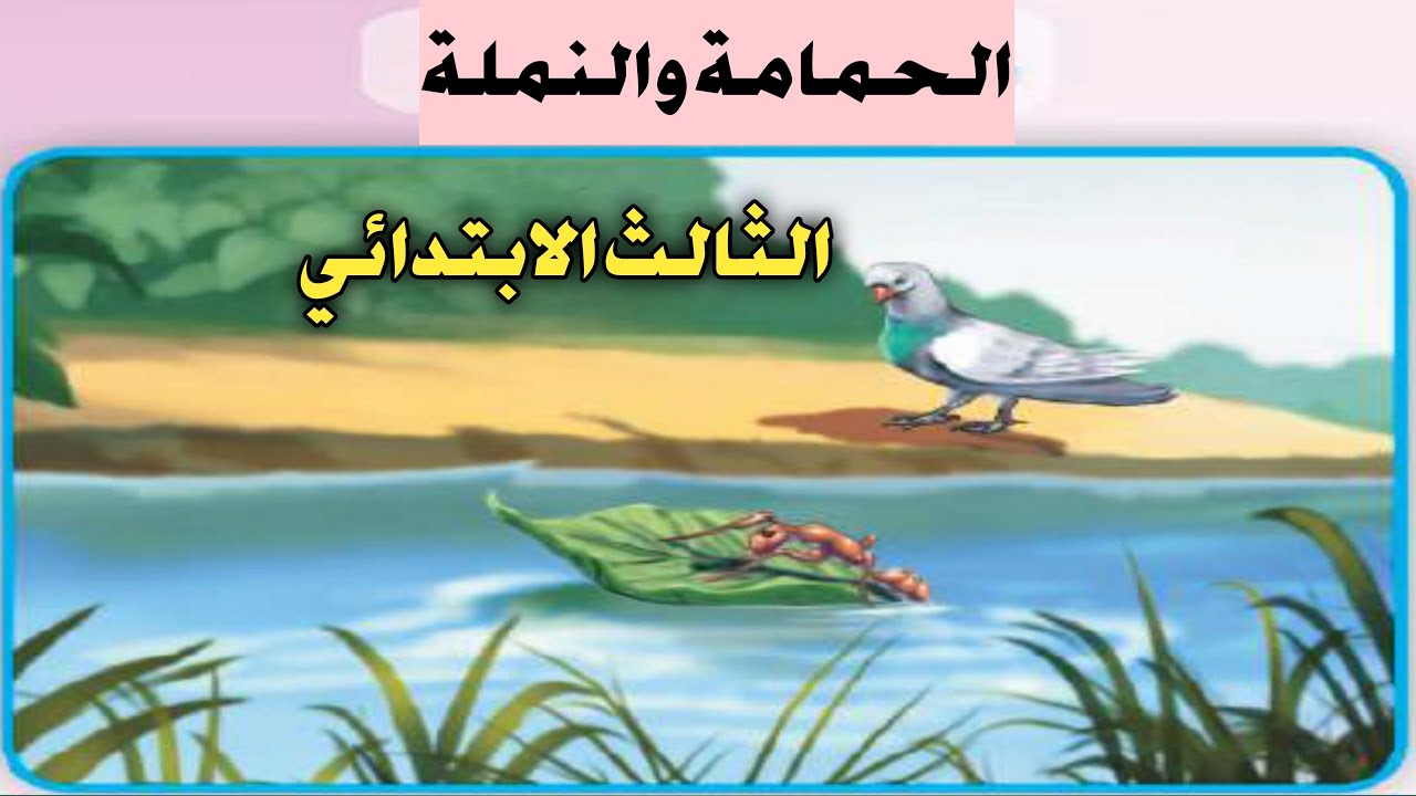 الحمامة والنملة الصف الثالث الابتدائي صفحة١٣ قراءتي