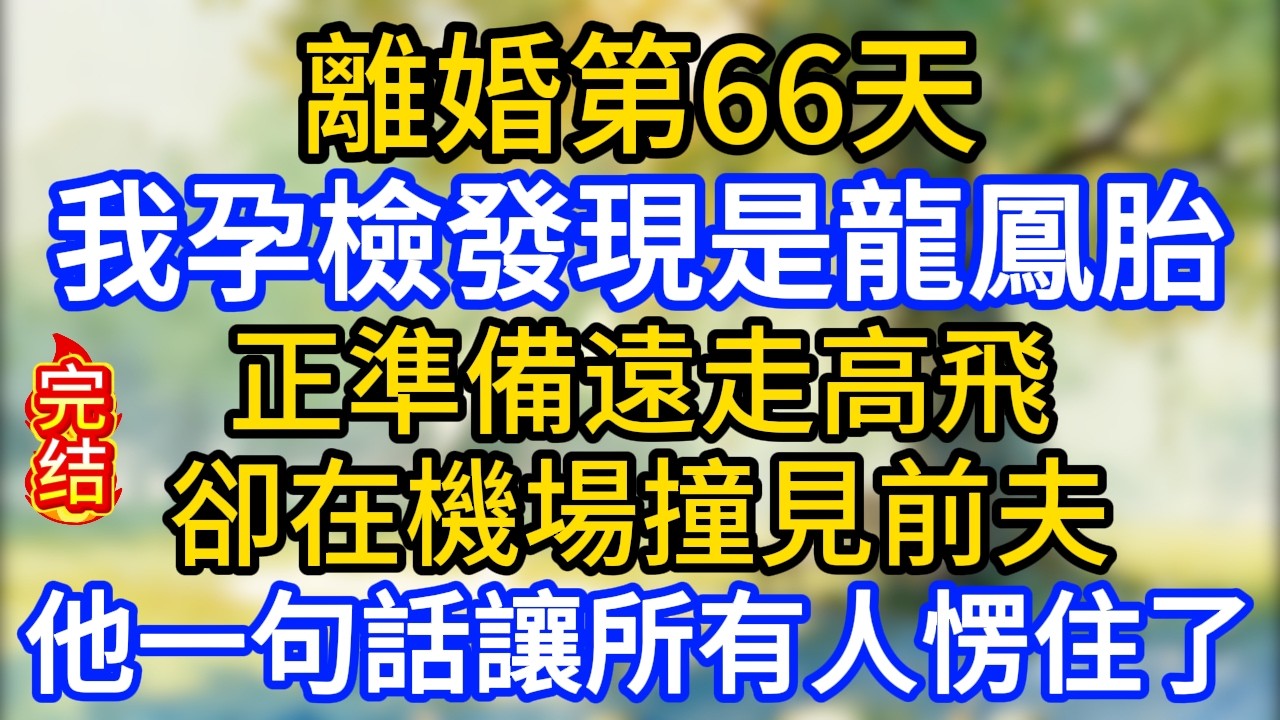 離婚第66天，我孕檢發現是龍鳳胎，正準備遠走高飛，卻在機場撞見前夫，他一句話讓所有人愣住了