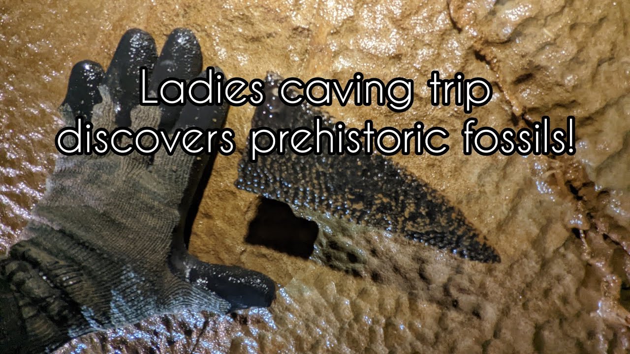 Ancient Sea Life Fossils Discovered Inside This River Cave