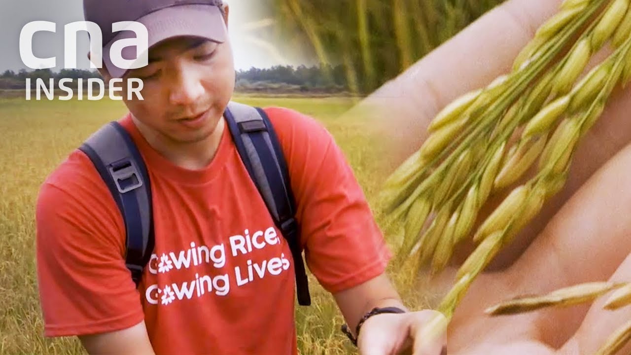 The Man Helping Myanmar's Rice Farmers Beat Climate Change
