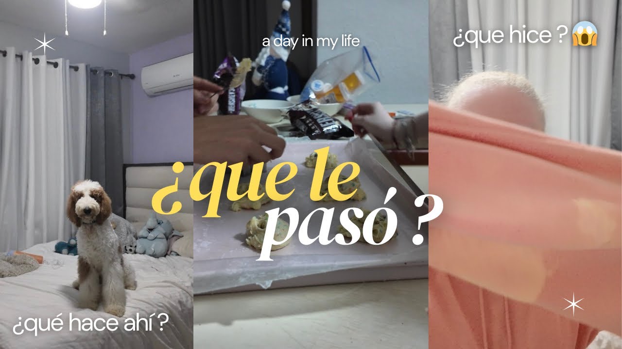 Hacemos GALLETAS 🍪 + se ENFERMÓ 🤮+ LO DAÑE 🥺/ ALO VÉLEZ 