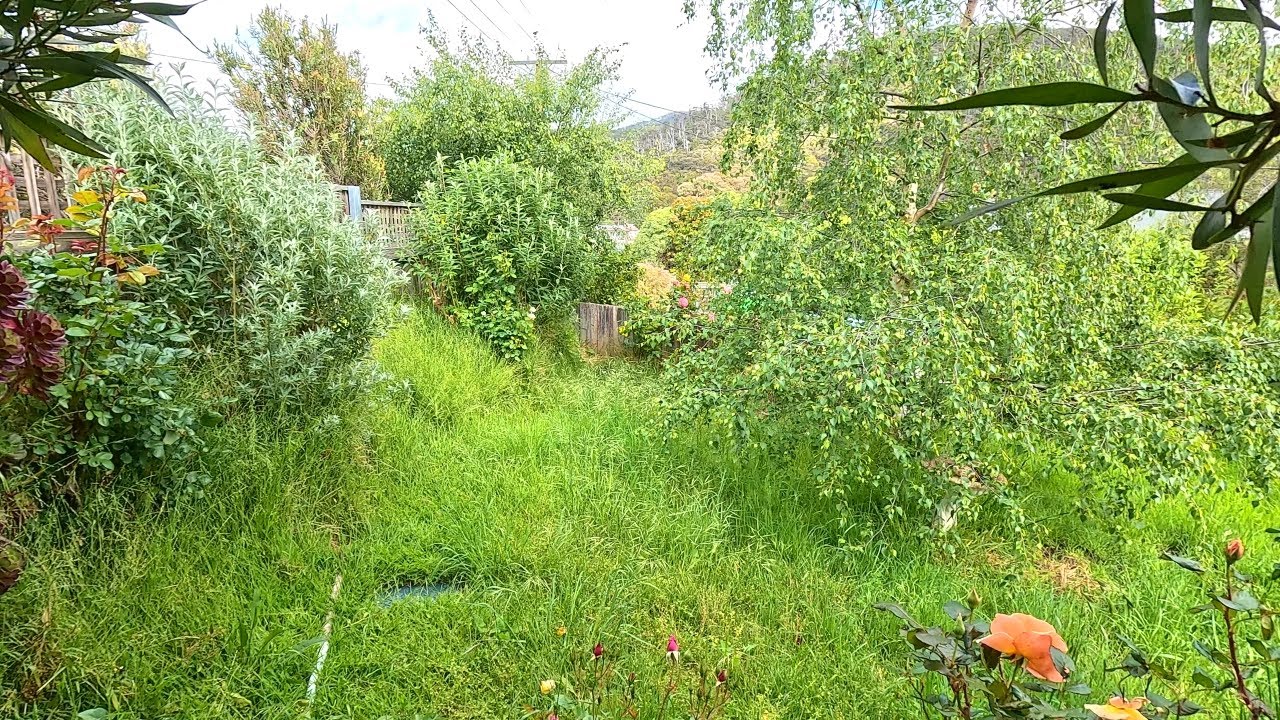 «Я не могу угнаться» — двор, который стало НЕВОЗМОЖНО содержать в порядке!