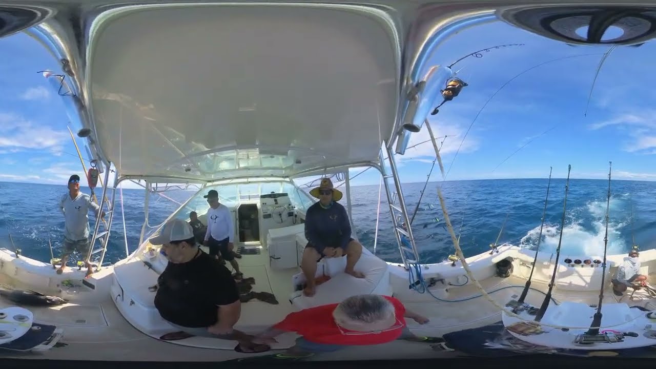 360 VR Video | Weighting 125-pound Yellowfin Tuna in the Sea Cruz fishing charter