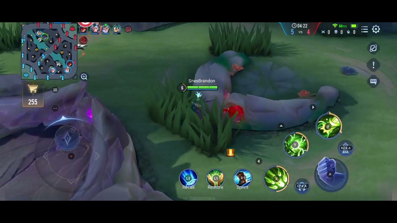 5 Domination (Arena of Valor)